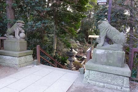 横浜市泉区・御霊神社の参道に狛犬
