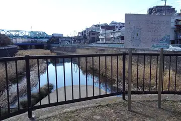 阿久和川と柏尾川の合流地点