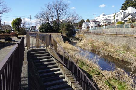 横浜市泉区・流れ込む支流
