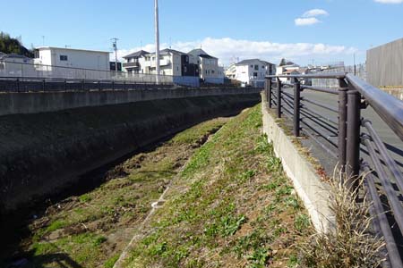 横浜市泉区・川沿いに舗装道路が続きます