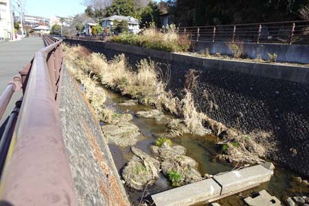 横浜市泉区・流は瀬谷柏尾道路から離れます