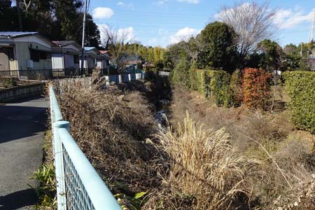 横浜市泉区・細くなった流れに沿って道が続く