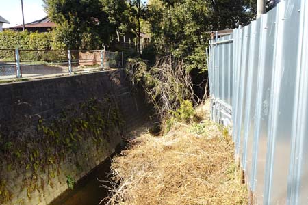 横浜市泉区・慶林上橋の先で道はなくなり