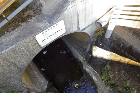 横浜市瀬谷区・阿久和川は瀬谷樫尾道路の下を