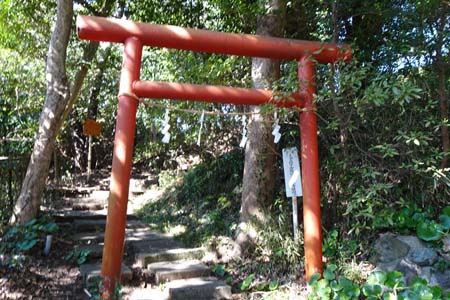藤沢市・御霊神社の赤い鳥居の先に十二天王社