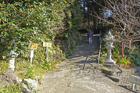 藤沢市・御霊神社の女坂