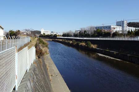 藤沢市・神戸製鋼所の脇は舗装遊歩道