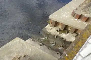 砂押川が流れ込む