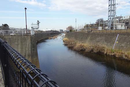 横浜市戸塚区・住友電工の工場付近から大きな遊水地