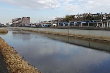 横浜市戸塚区・柏尾川と平行に続く金井遊水地