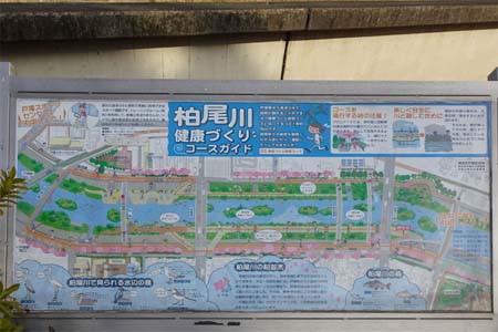 横浜市戸塚区・柏尾川大橋に健康づくりコースの案内板