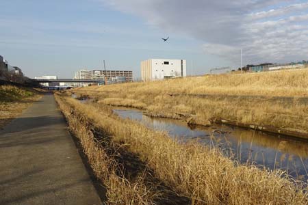横浜市戸塚区・流れに沿って遊歩道が続いています