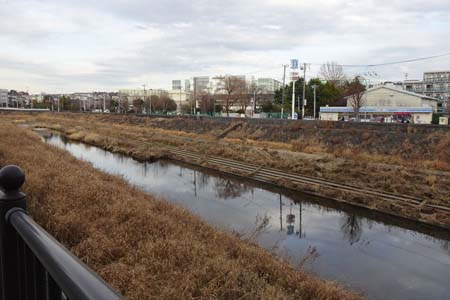 横浜市戸塚区・柏尾川沿いの舗装道路