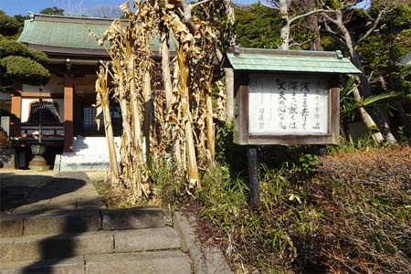 藤沢市・弥勒寺の石段を登れば本堂