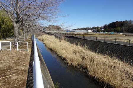 横浜市泉区・和泉川に沿って遊歩道