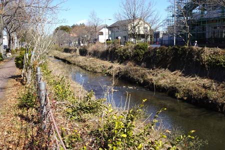 横浜市泉区・コンクリートの護岸に緩やかな流れ