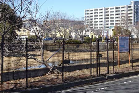 横浜市泉区・桜川雨水調整池