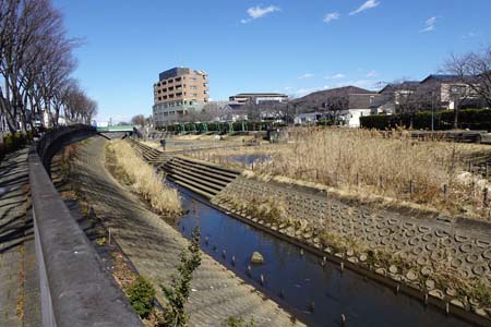 横浜市泉区・対岸に地蔵原の水辺