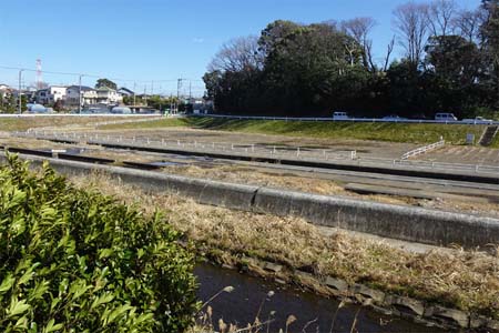 横浜市泉区・対岸に遊水池