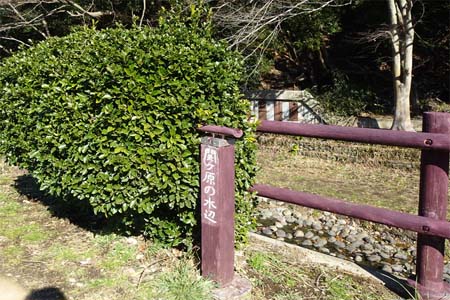 横浜市瀬谷区・関ヶ原の水辺
