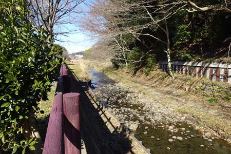 横浜市瀬谷区・水辺の側も歩ける河原