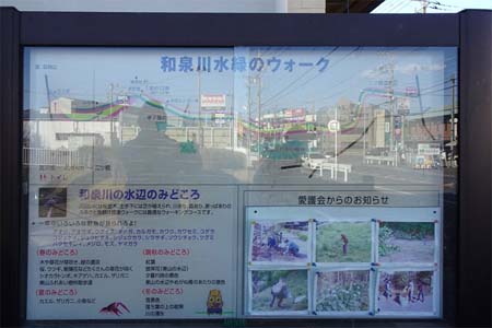 横浜市瀬谷区・和泉川水縁のウォーク案内板