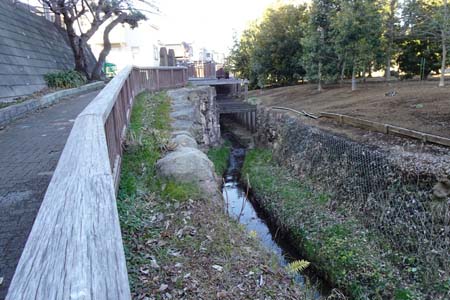 横浜市瀬谷区・和泉川源流広場