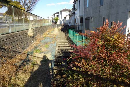 横浜市瀬谷区・東野第２公園近くに和泉川の支流