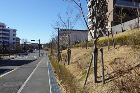 新治市民の森から横浜高尾山・十日市場ヒルタウン