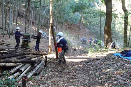 新治市民の森から横浜高尾山・廃竹材のチップ化作業
