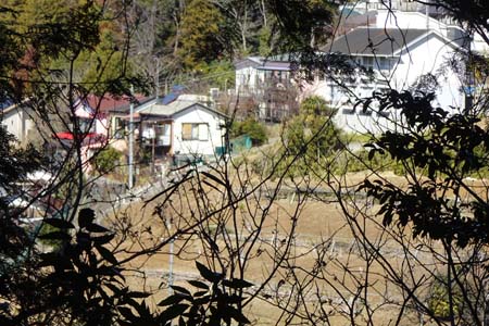 新治市民の森から横浜高尾山・木立の先に耕作地