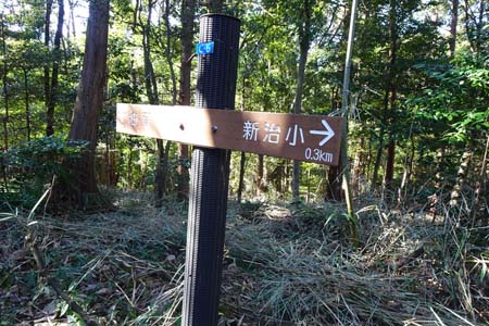 新治市民の森から横浜高尾山・視界のない向山