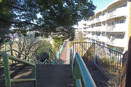 新治市民の森から横浜高尾山・霧が丘グリーンタウン沿いの道