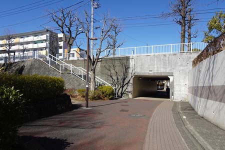 新治市民の森から横浜高尾山・トンネルの手前から坂道を登り
