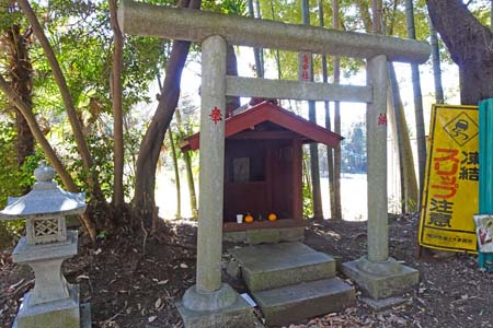 新治市民の森から横浜高尾山・庚申社
