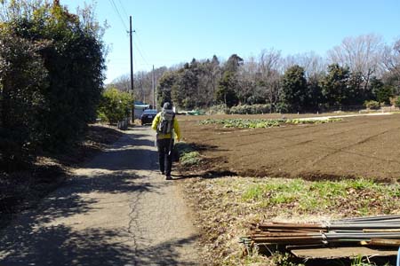 新治市民の森から横浜高尾山・耕作地の中を進む