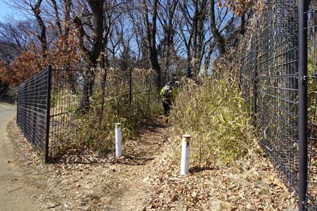 新治市民の森から横浜高尾山・柵の間から雑木林の道