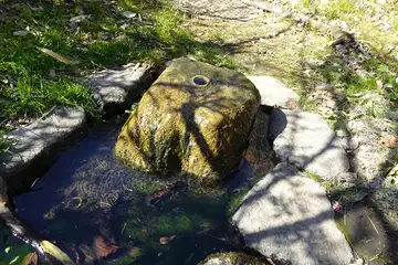 帷子川源流