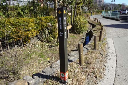 新治市民の森から横浜高尾山・源流から続く小川アミュニテイ