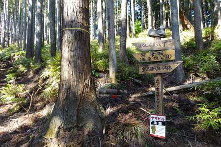 花じょろ道から高松山・登山道にはヒル除け