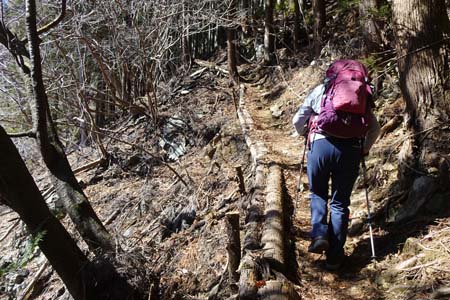 花じょろ道から高松山・良く整備された登りが続きます