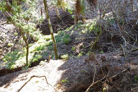 花じょろ道から高松山・炭焼き釜への道は立ち入り禁止