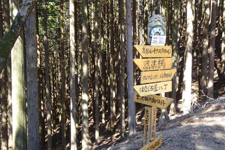花じょろ道から高松山・ヒネゴ沢乗越