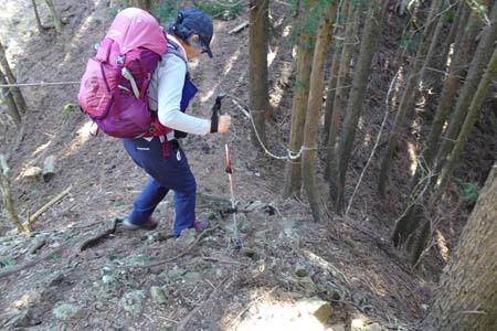 花じょろ道から高松山・固定ロープが張られた岩場