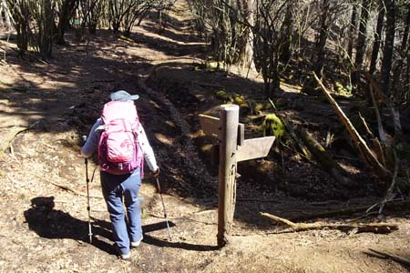 花じょろ道から高松山・ビリ堂からの道を合わせ