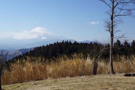 花じょろ道から高松山・高松山の山頂から富士山