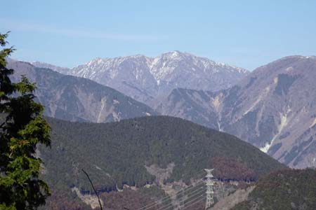 花じょろ道から高松山・雪を被った丹沢への稜線