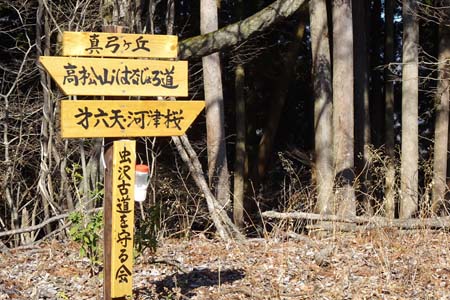 花じょろ道から高松山・真弓ヶ丘