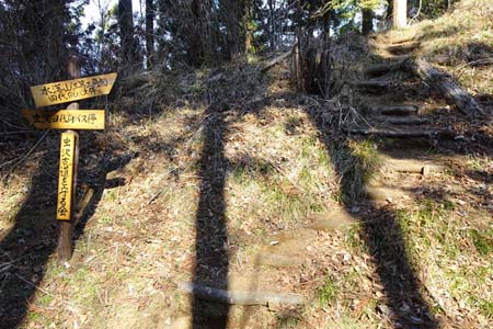 花じょろ道から高松山・水落山への登り