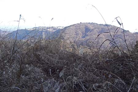 花じょろ道から高松山・冬枯れのカヤトの先は松田山